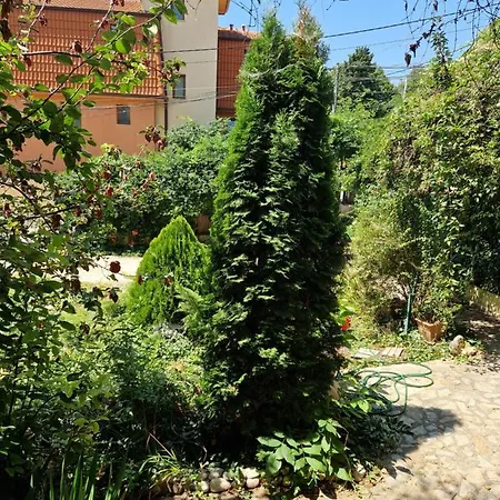 Residence, Free Parking, Pets Friendly Appartement *